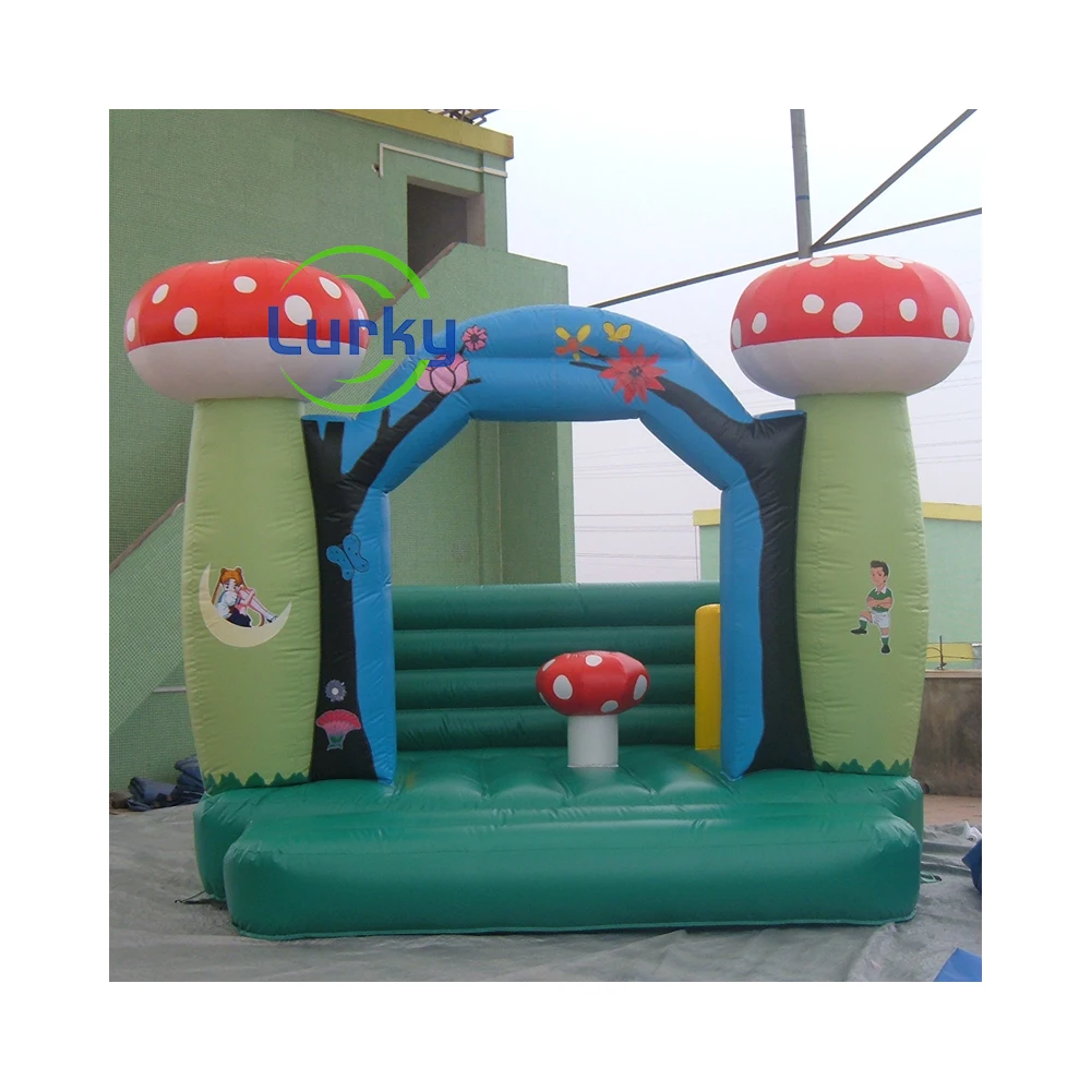 Commercial Casino Equipment Home Games Outdoor Inflatable Bouncer Inflatable Bouncer Mushroom Inflatable Bouncer House Commercia