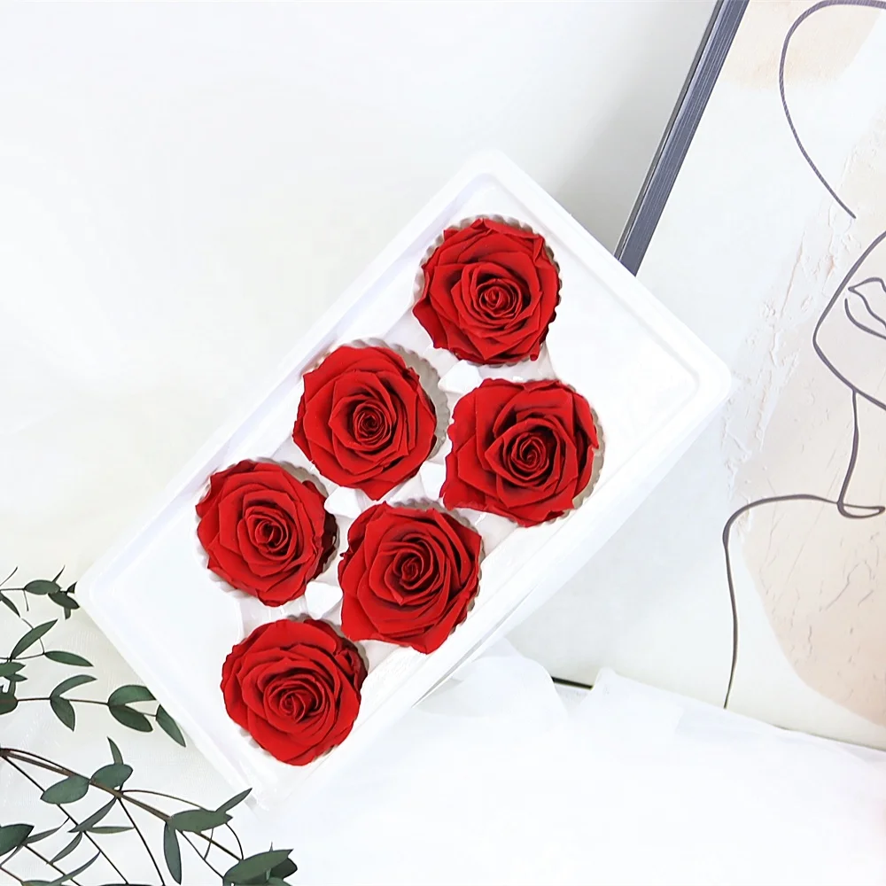 High quality preserved roses 5-6 cm forever roses preserved flower long stem preserved roses