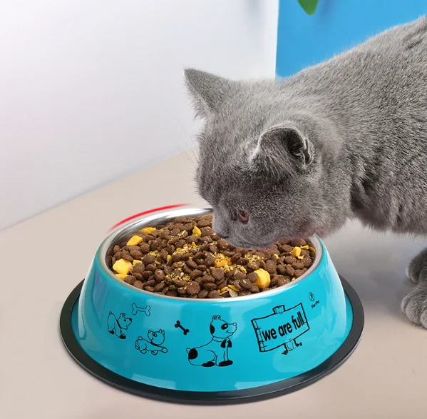 Custom Stainless Steel Dog Bowl Wholesale Pet Cat Food Feeder Stainless Steel Bowls