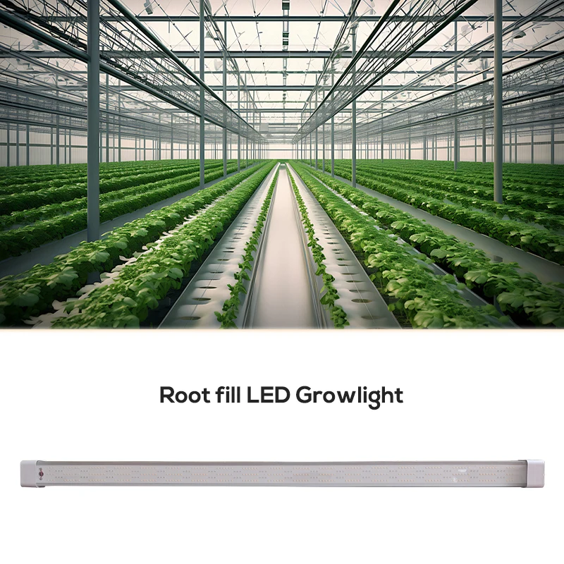 Learnew Wholesale Plant Hydroponics Vegetable Customized Spectrum Link T8 LED Grow Light