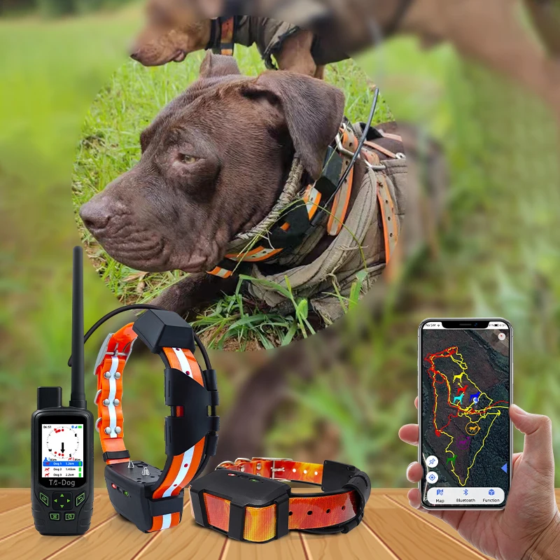 High Quality Most Popular Hybrid  Wi-Fi VHF 4G SIM Hunting dogs GPS Training and Tracking Collar IPX7 Waterproof Smart Device