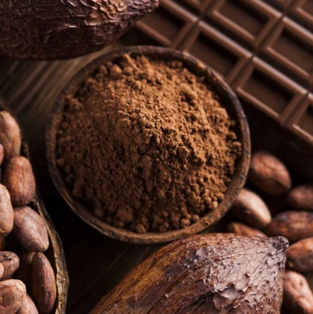 China Wholesale Price Bulk 25kg Natural Cocoa Powder