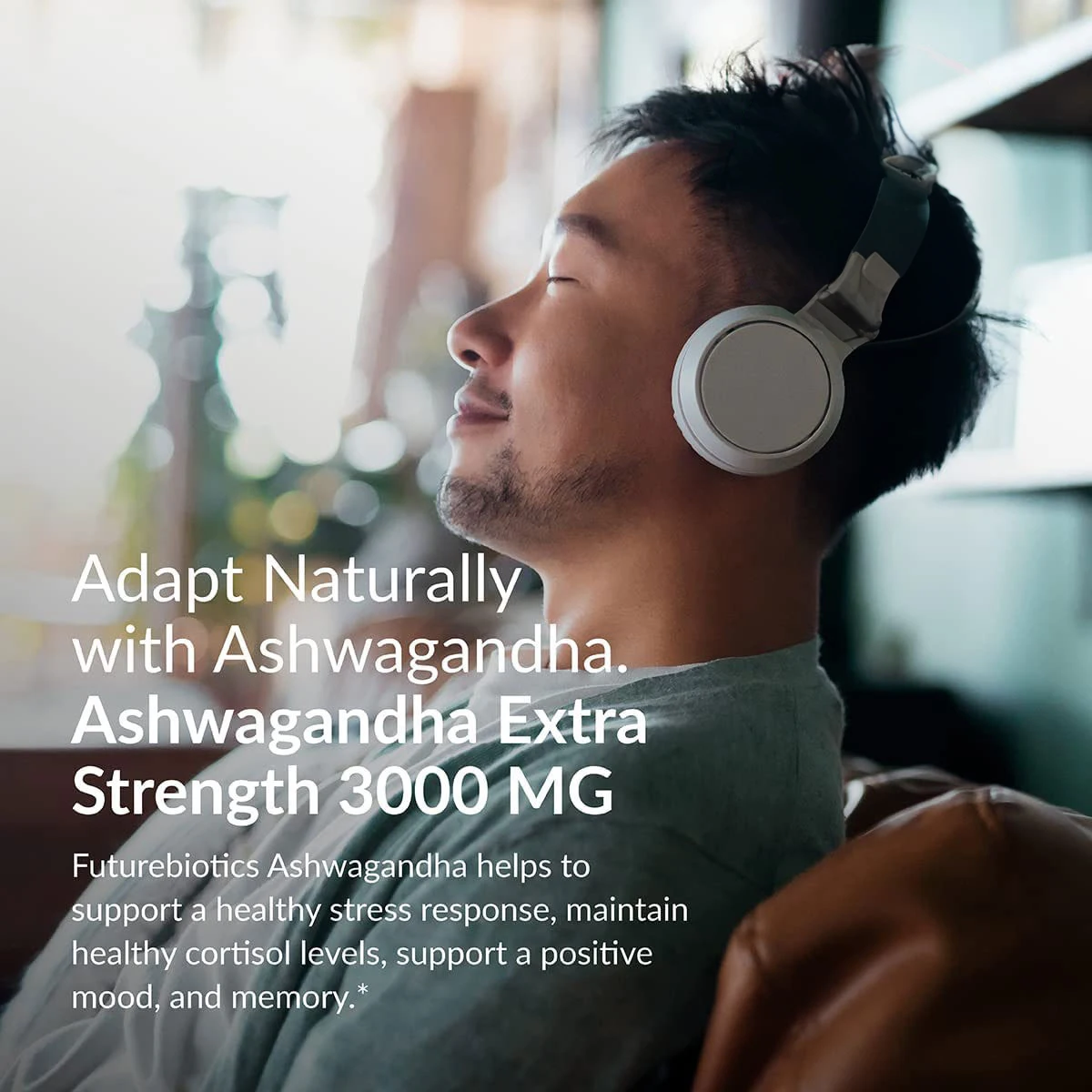 Factory Direct Sale ashwagandha capsules ksm-66  supplements