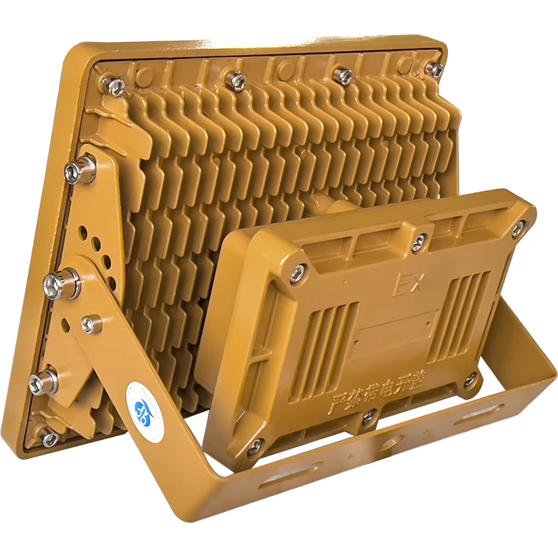 50W 70W 100W 120W 150W 200W 250W 300W 400W 600W 800W industrial led lighting industrial explosion proof light