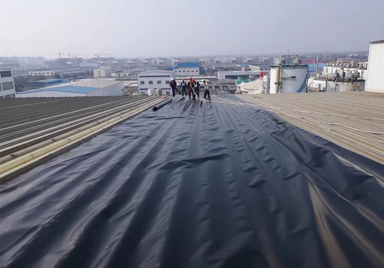 Textured Sheet 1.5mm HDPE Geomembrane
