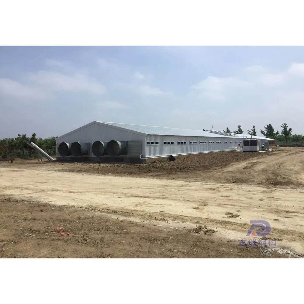 high quality steel structure sheep control shed poultry farming buildding cost in pakistan