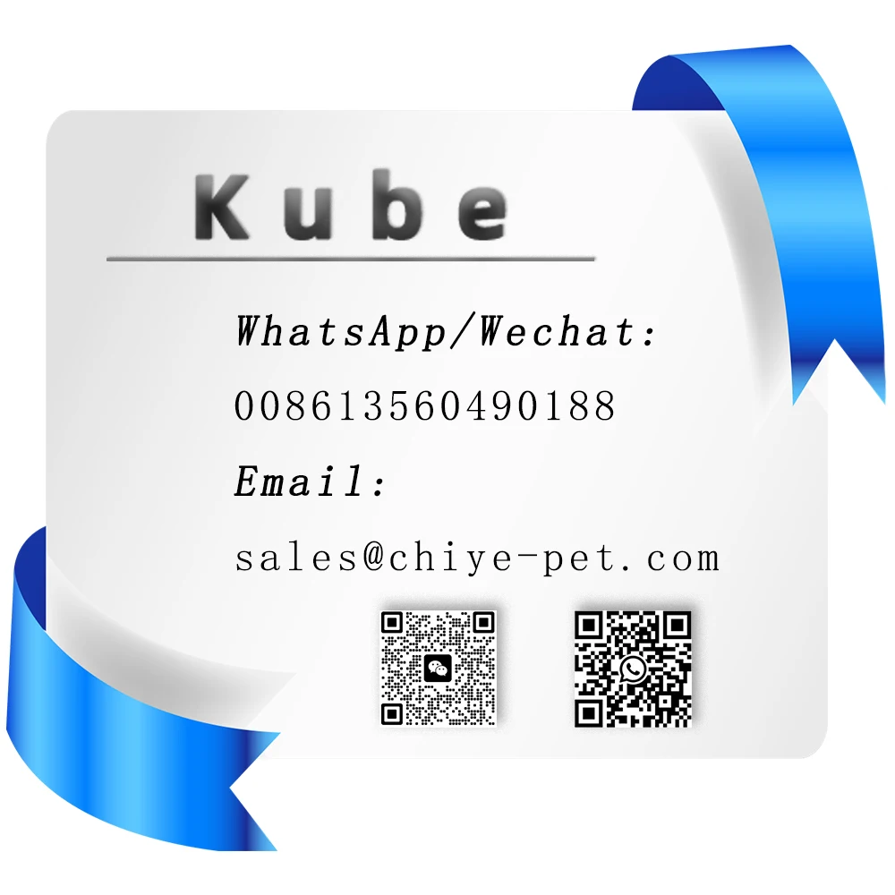 New Design Square Timer Lithium Battery Automatic Fish Feeder for Fish Tank