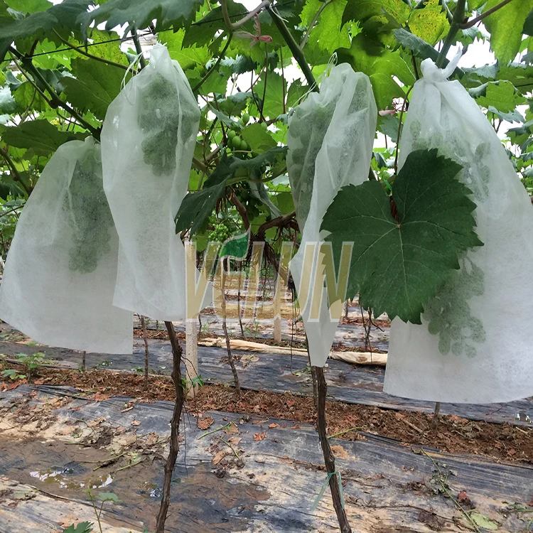 
Anti-UV PP Non Woven Fabric Fruit Cover/Banana Bags 