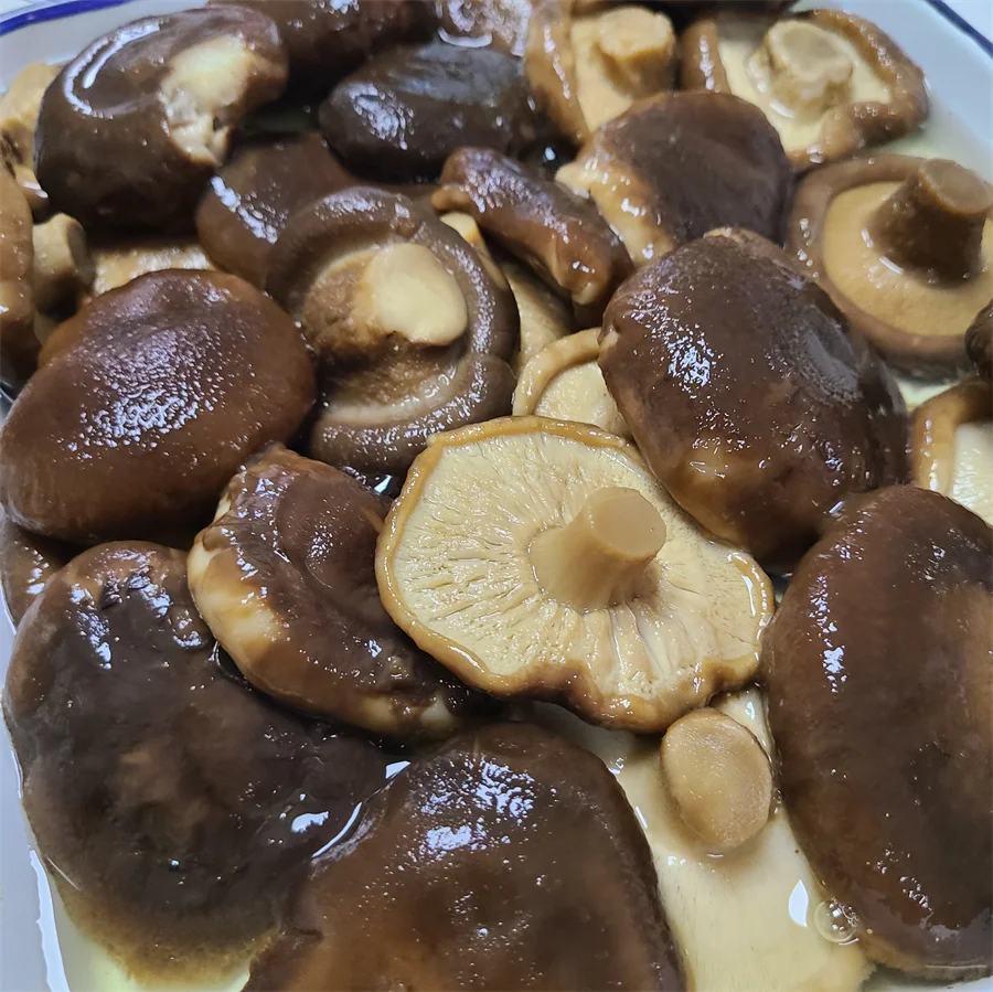 3kg Good Quality Canned Shiitakes Mushroom in Brine for Cooking
