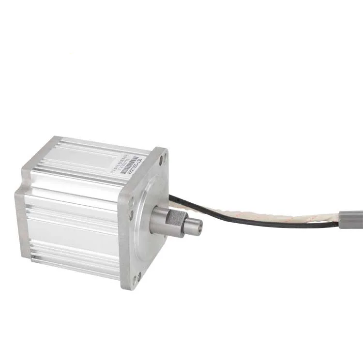 OEM factory for 220V brushless dc motor