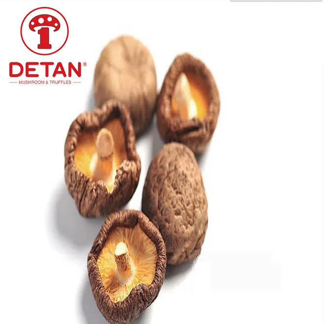 DETAN wholesale dry shiitake mushroom