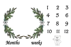 custom professional  Extra Cozy Bliss  customized 100% polyester custom baby milestone blanket