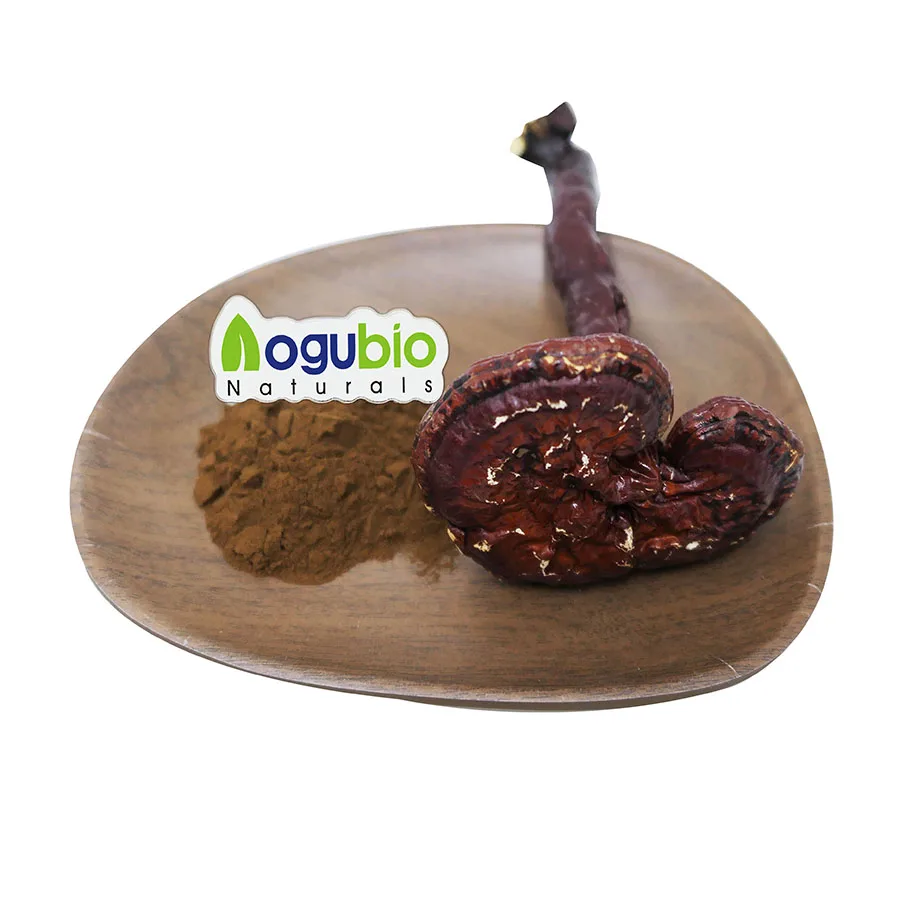Organic Reishi Extract Immune Support 30% 50% Polysaccharides Ganoderma Lucidum Supplement Reishi Mushroom Extract