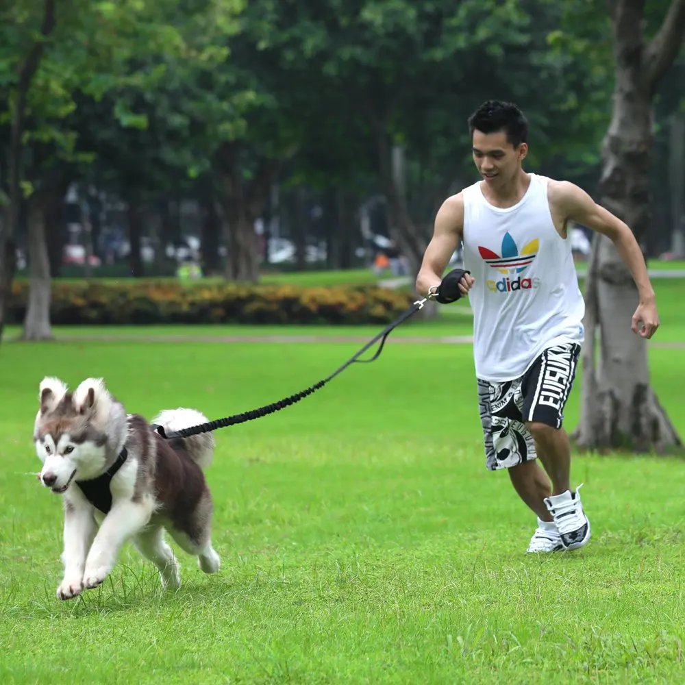 TAIL UP Pet Supplies Dog Leash Hands Free Pet Lead for Bike