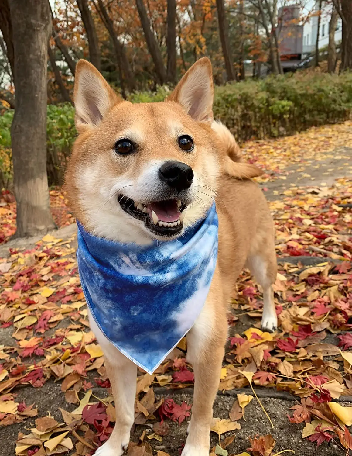 Eco-friendly Fabric Cotton Polyester Dog Bandana Holiday Patterns Custom with Logo Pet Bandanas