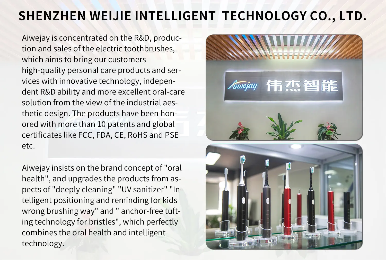 Adult Round Electric Tooth Brush Ultrasonic Automatic Electronic Silicon Smart Sonic Electric Toothbrush