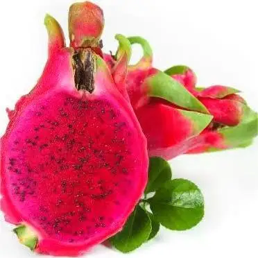Fresh Red Heart Dragon Fruit Organically Grown Extra Large Dragon Fruit Wholesale Price Factory Direct Sales