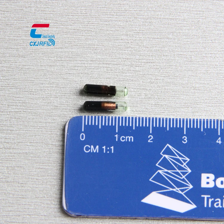 134.2KHZ FDX-B EM4305 Fish Chip Implant Microchips Syringe Glass Tag RFID Animal ID Pet Dog Microchip For Animals