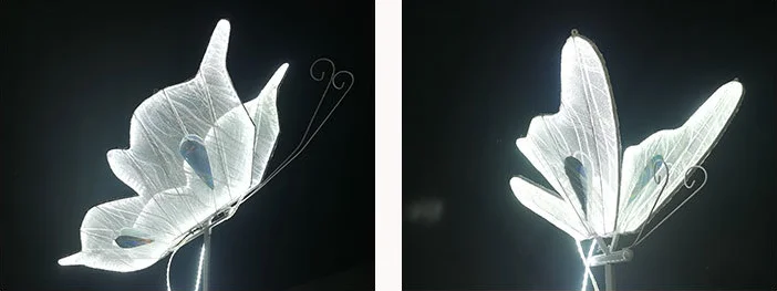 Butterfly Backgdrop (7).png