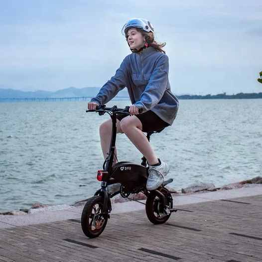 Customized Other America Blade Gt Plus For The Disabled Electric Scooter