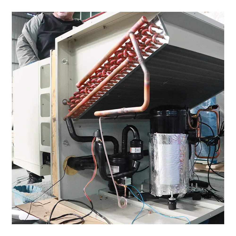 Smart Wall Mounted Conditioning Inverter Split industrial compressors And Air Cooling For cold room