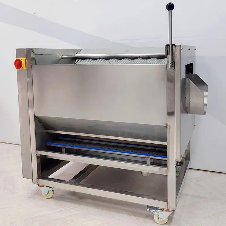 Brush Roller 1200kg per Hour Commercial Ginger Sweet Potato Peeling and Cleaning Machine