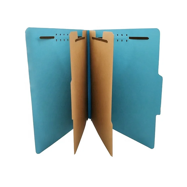 Basics Classification Folder with Fasteners Letter Size Cardboard File Folders