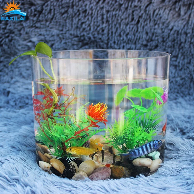 
NAXIALI Wholesale High Quality New Design Acrylic Aquarium 1 Piece Fish Aquarium Acrylic Aquarium Tube 