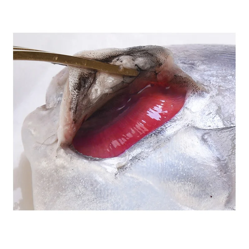 New Season Silver Pomfret Frozen White Pomfret Fish with Size 80-100-150-200g