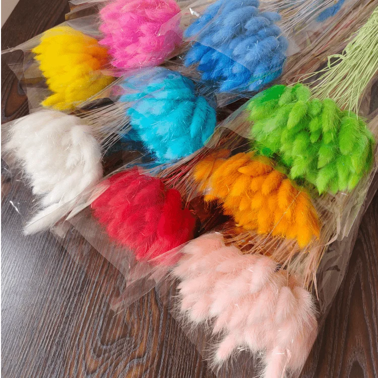 One bundle of 55 branches  Dried bunny tails Home decoration  Dried flower bouquet  Dried Lagurus Ovatus  plants flower