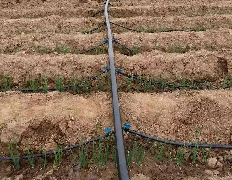 Drip pipe  with round cylindrical drip irrigation pipe