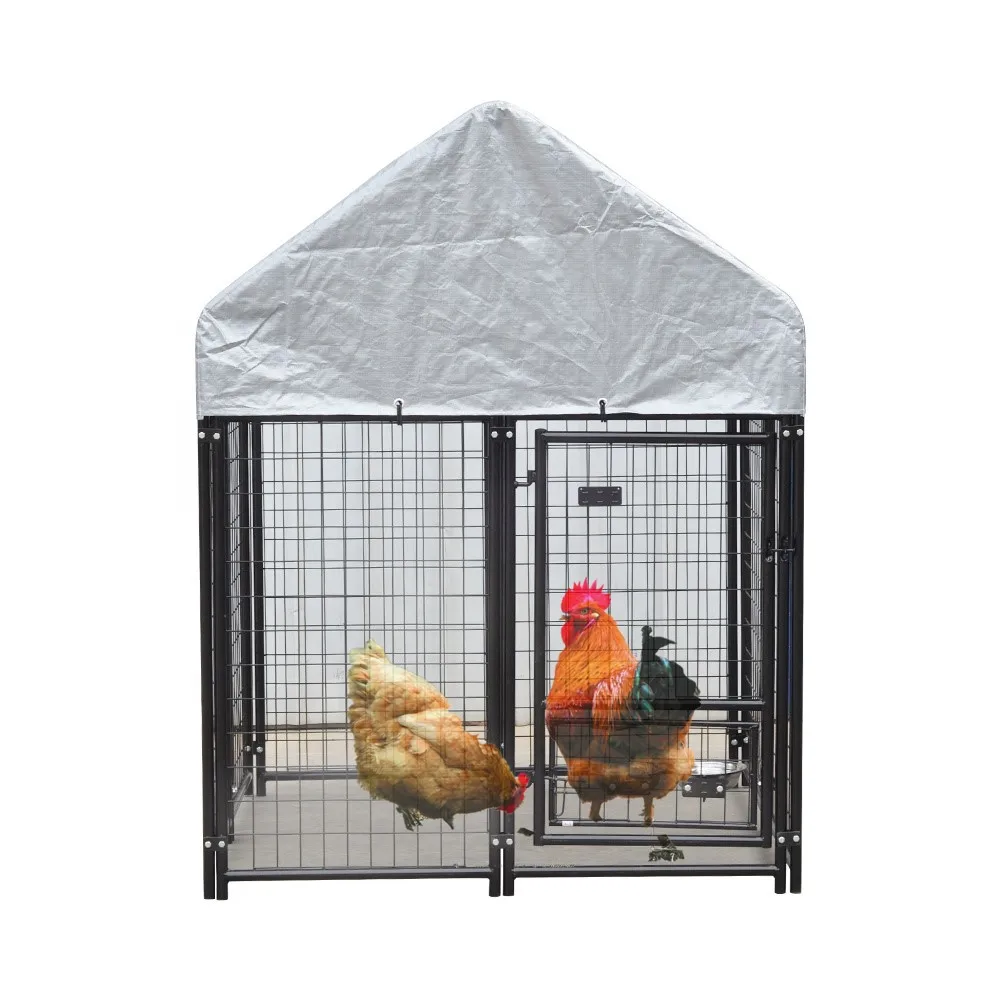 small poultry fowl animals  outside cage automatic chicken coop door