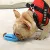 
MAHOO Dropshipping Pet toys Tooth Brush chew toys Classic Dog Toy Durable Natural Rubber Fun to Chew Chase and Fetch 