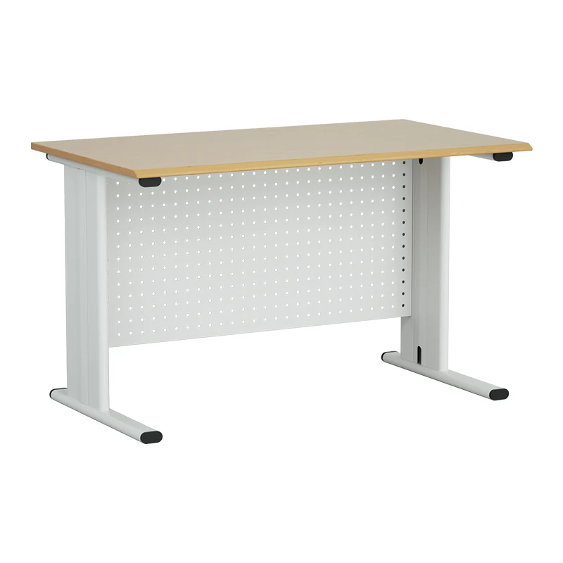 Home Office Table Furniture  Metal Studying and Writing Desk With Panel Office Tables for office and home