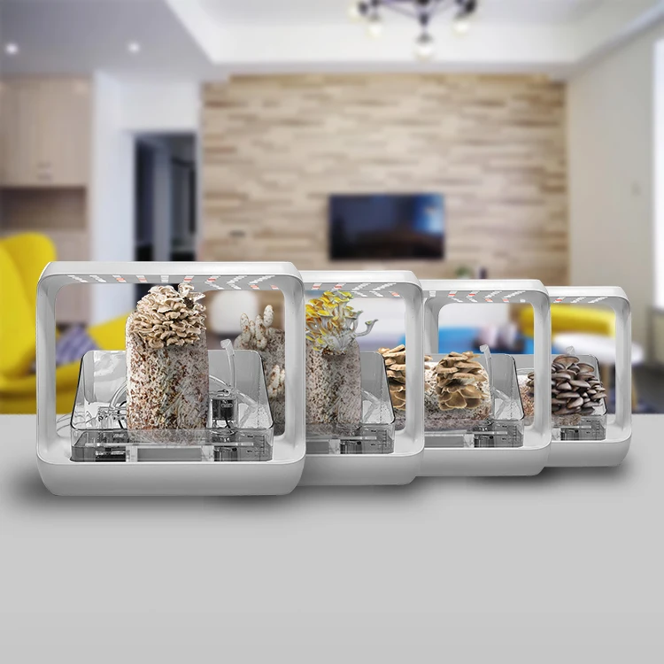 Custom logo  indoor grow box Smart garden grow light mushroom growing kit with 24W