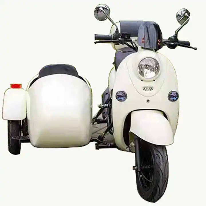 2022 Fasion 3 Wheels Electric Scooter Sidecar 72V30AH E