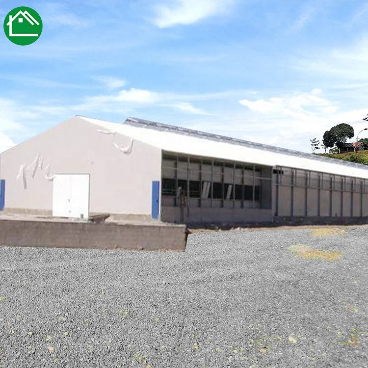 Металлический Стальной строительный конструктор для курицы яичный куриный сарай