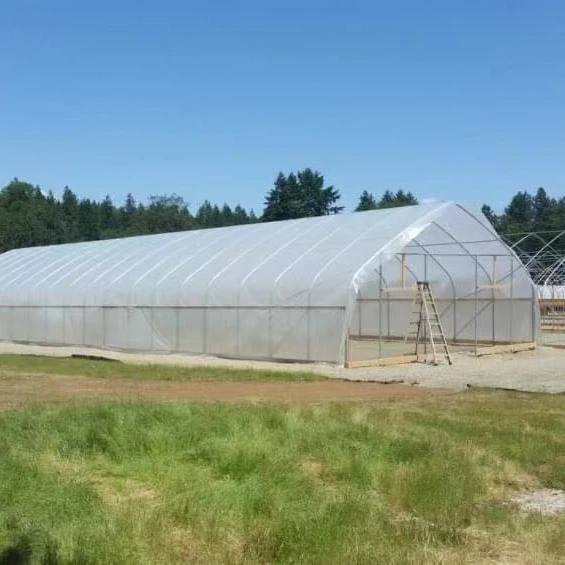 Chinese Manufacturer Single Span Green House Plastic Film Multi Span Greenhouse