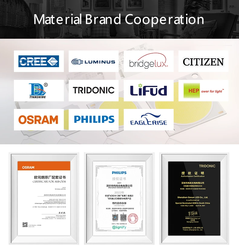 IP20 5-year warranty indoor lighting surface mounted light suspended pendent lamp 15W cob led downlight