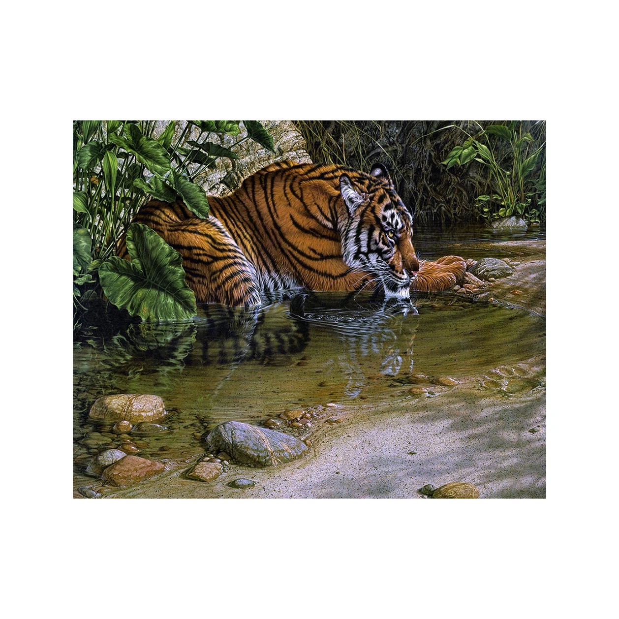 paint boy hot sale decoration painting 5D Full crystal diamond living room decor tiger DIY custom diamond painting