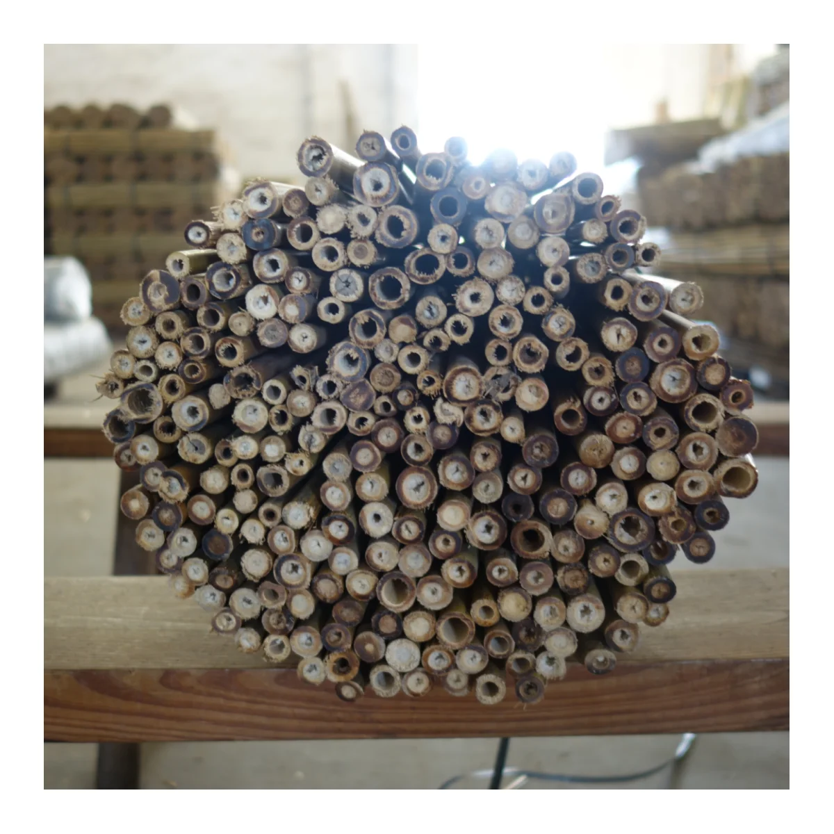 Nature Bamboo Cane 76CM*12-14MM