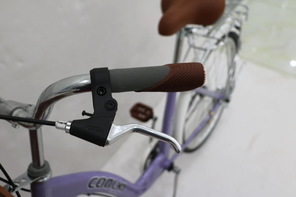 female bicycle online store purple 1speed 26inch spoked wheels carrier basket adult women City bike