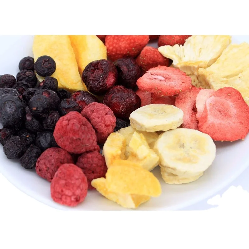 Freeze Dried Fruits MIXED for oatmeal cereal snack chips