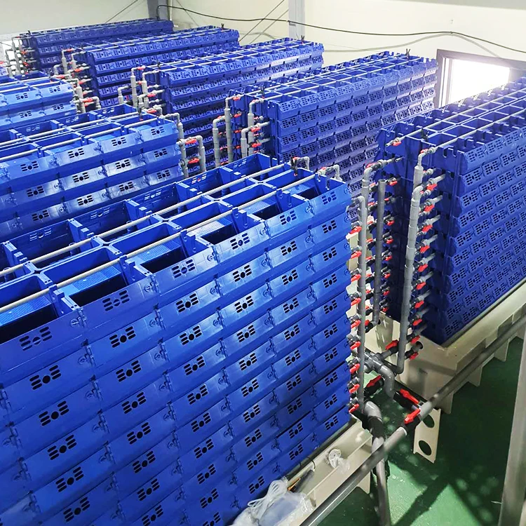 Wholesale price mud crab culture farming house boxes Factory wholesale crab farming boxes system equipment crab in box