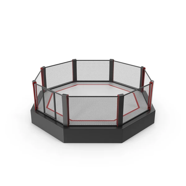 International Ufc Cage MMA Grappling Octagon Cage
