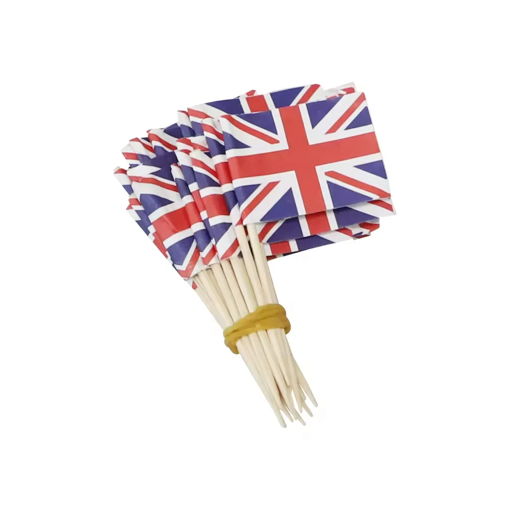 Bulk Eco-friendly Accept Individual Packing Toothpick  Flag