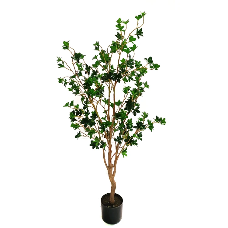 Outdoor Indoor Home Ornamental Small Large Big Fake Potted cheese green seedlings live bonsai plant