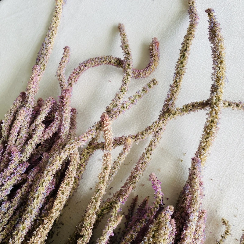 
2021 New Flower Shop Popular Yunnan Hot-selling Dried Amaranth For Wedding Home Decoration 