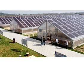 PC Multiwall Plastic Polycarbonate Roofing Sheet SHEET Greenhouses Lightweight Polycarbonate Hollow Sheet