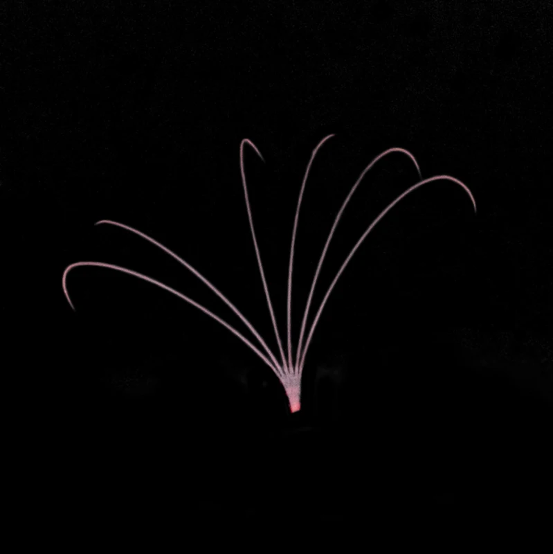 MASSCAKU Auto Fan Cashmere Siberian 0.03 Volume Easy Fans Color Easyfan Lashes Blooming Eyelash Extension